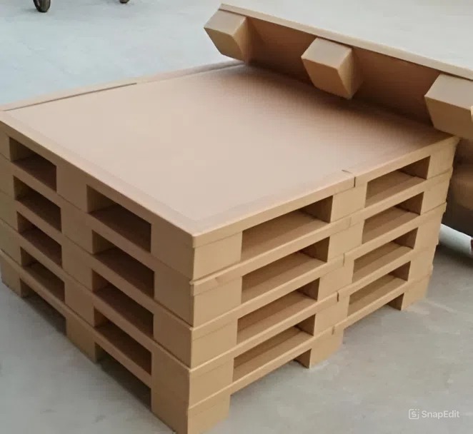 Ngành Giấy & Bao bì